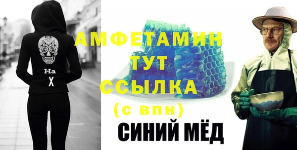 дживик Ельня