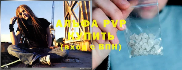 сатива Дмитриев