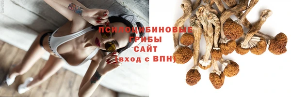 прущая мука Дмитровск