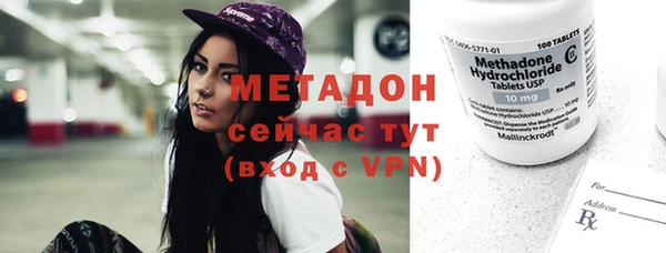 сатива Дмитриев