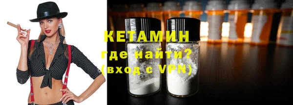 сатива Дмитриев