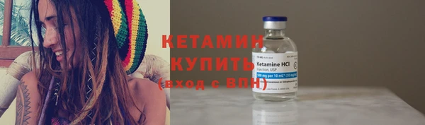 сатива Дмитриев