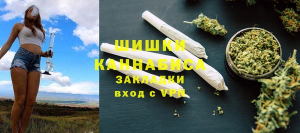 сатива Дмитриев