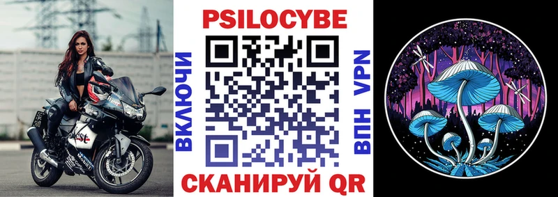 kraken сайт  Калининск  Псилоцибиновые грибы мухоморы 