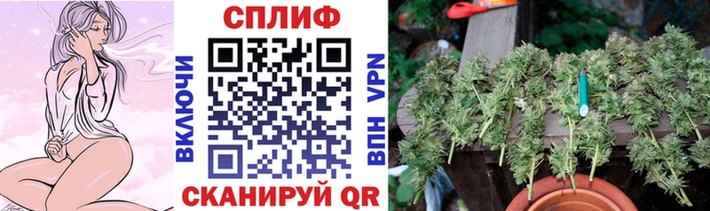 Шишки марихуана гибрид  Калининск 